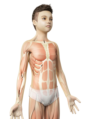 Soft Tissue Sarcoma